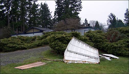 damaged garden shed