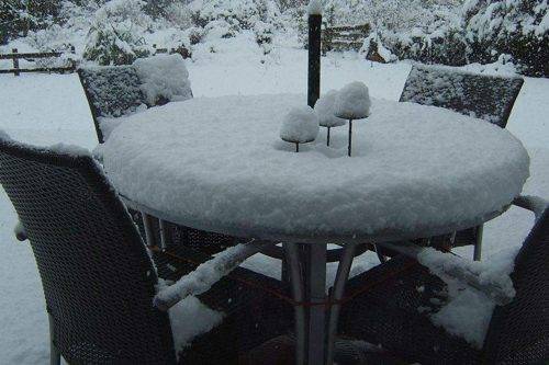 table snow