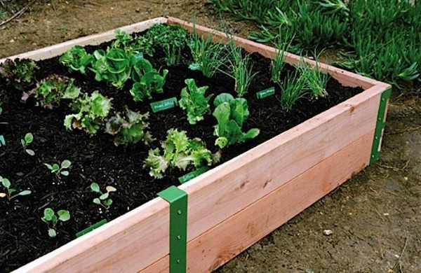 raised garden bed timber kit